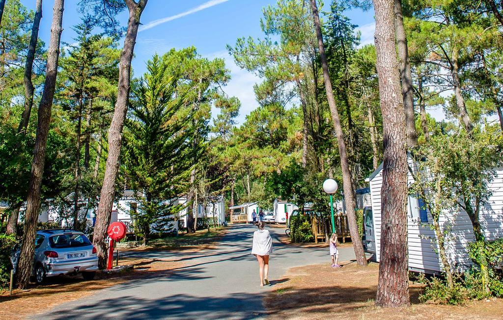 Domaine Résidentiel de Plein Air Odalys Les Dunes Longeville-sur-Mer Exterior foto